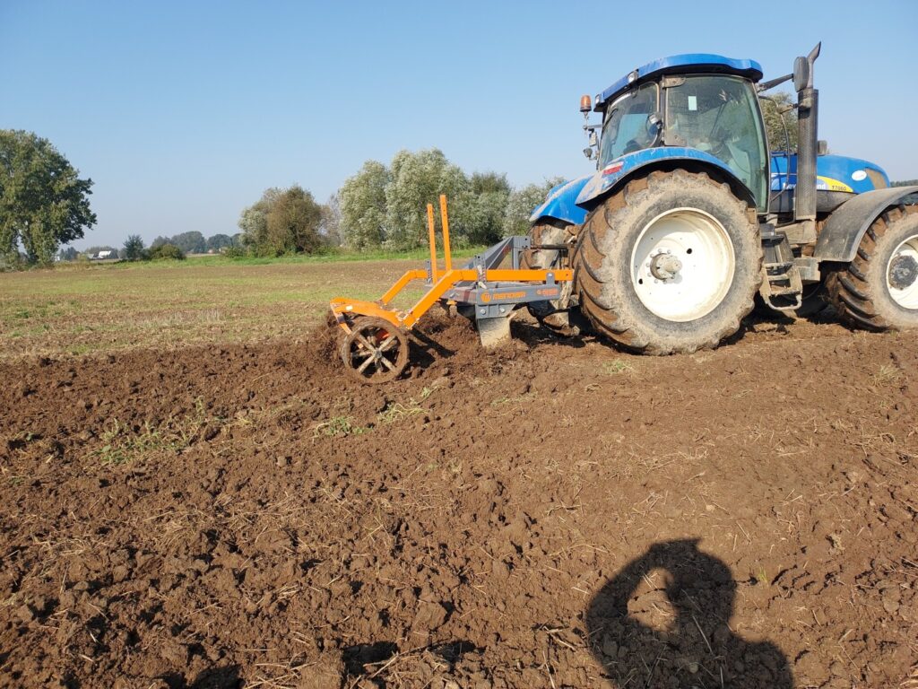 Borusowa. Głęboszowanie, Pole VI